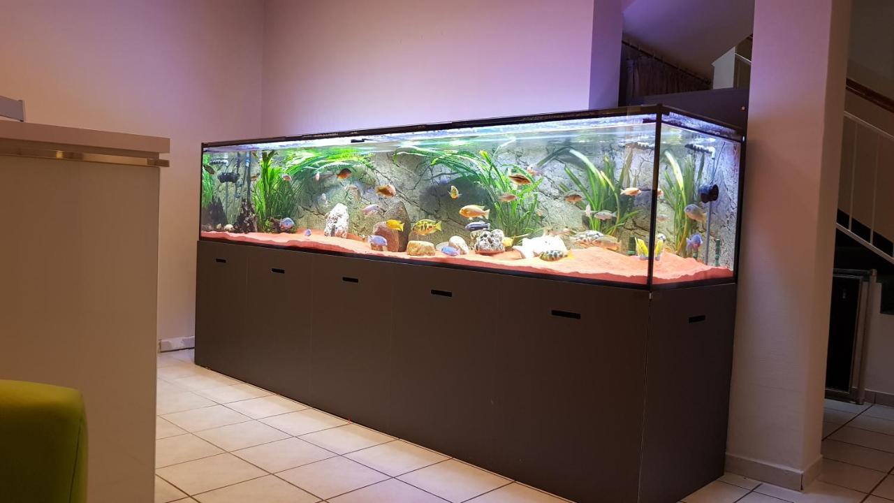 Hotel Evabrunnen Bischofswerda Luaran gambar